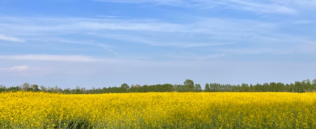 Mindfulness Photography