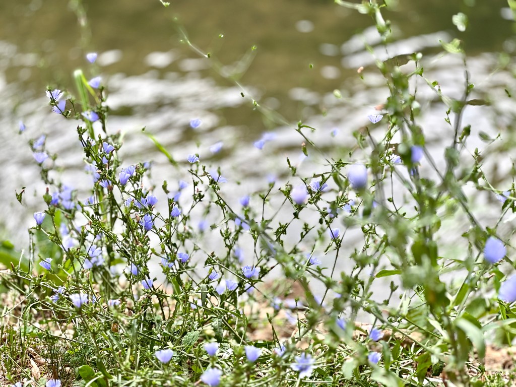 The Park at 6:30 a.m.